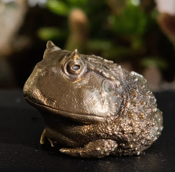 Chubby Horned Frog – Handcrafted Solid Brass Sculpture, “The Wealthy Hopper”, Desk Companion & Palm Worry Stone